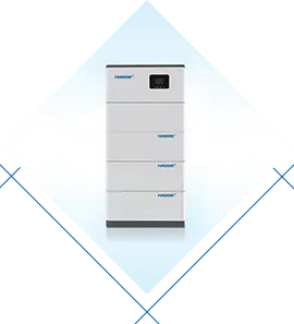 Energieopslag Voeding